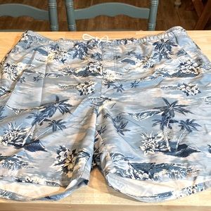 Old Navy Men’s XXL Blue & White Swim Trunks